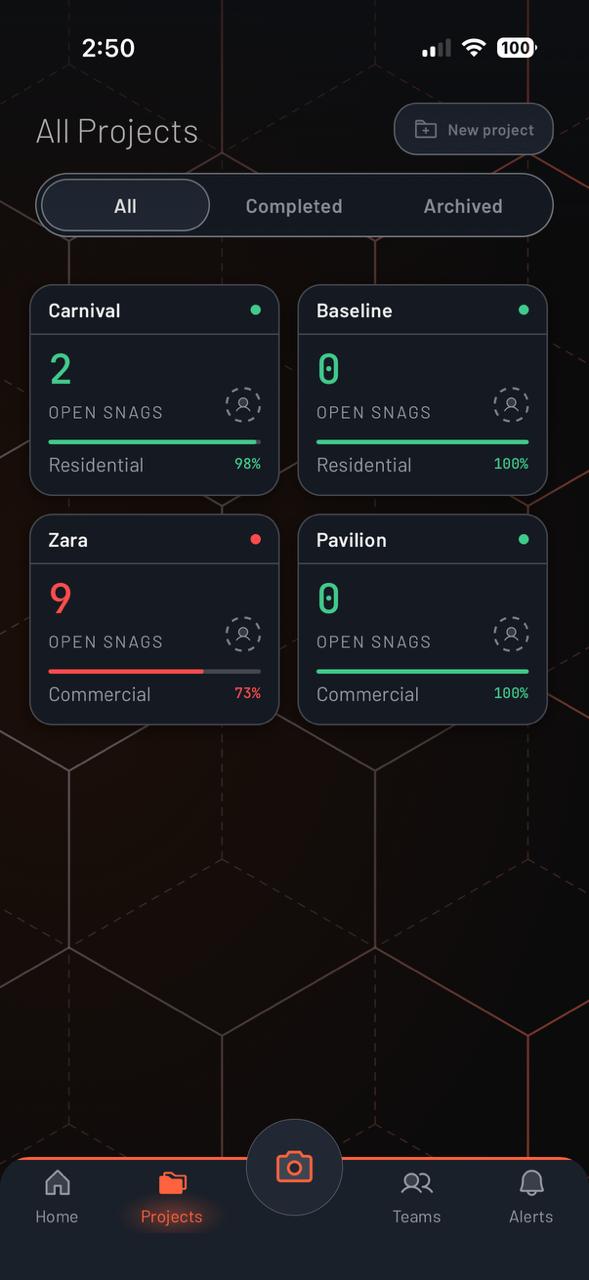 Snagsis project list
